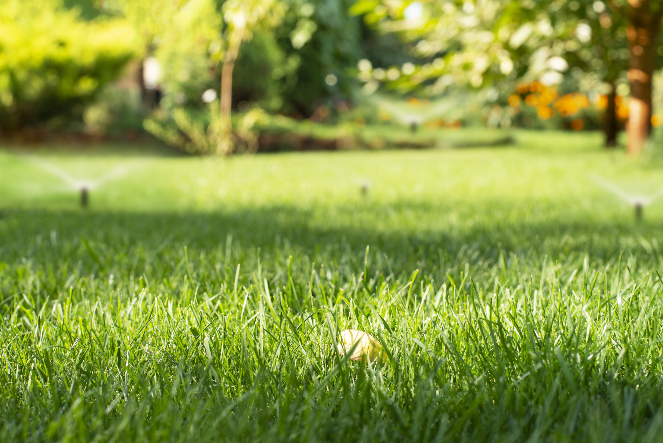 Irrigation marketing — lawn irrigation sprinkler system running